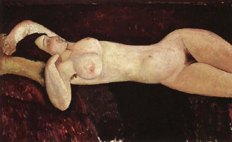 Amedeo Modigliani Reclining Nude France oil painting art